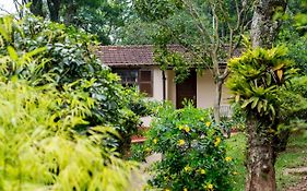 Casa do lenhador